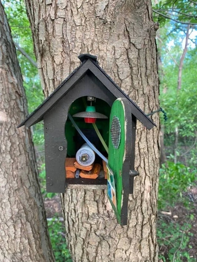 Красивые картинки