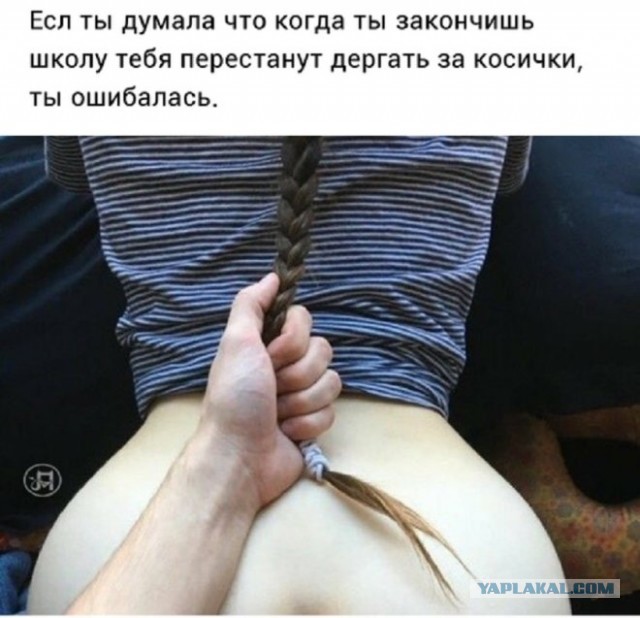 Забавные и не очень скромные картинки - 18