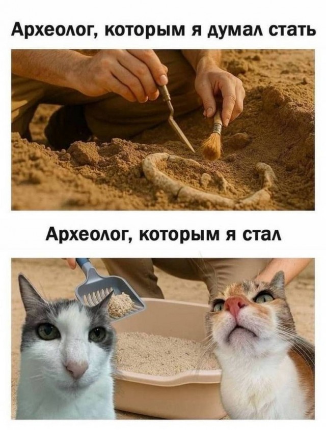 Картинки для деградации 92 (разной степени свежести)