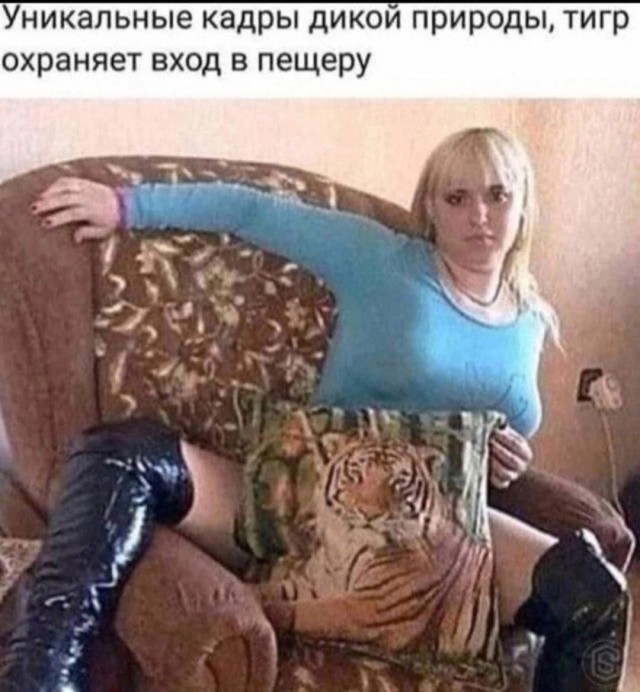 Игра слов в картинках 25.12.25