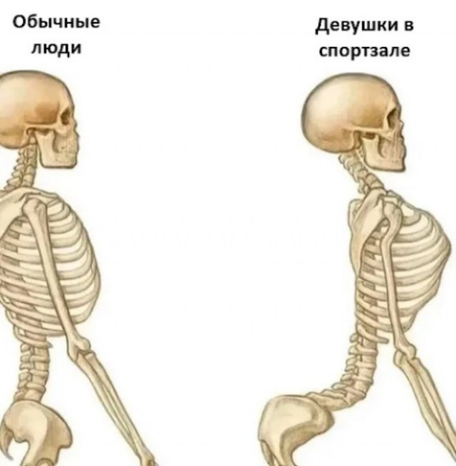 Занимательная качалка