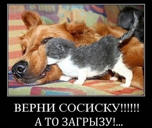 Вторника картинки