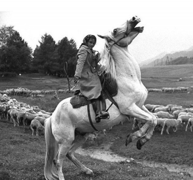 Фотографии из прошлого нашей страны – 134