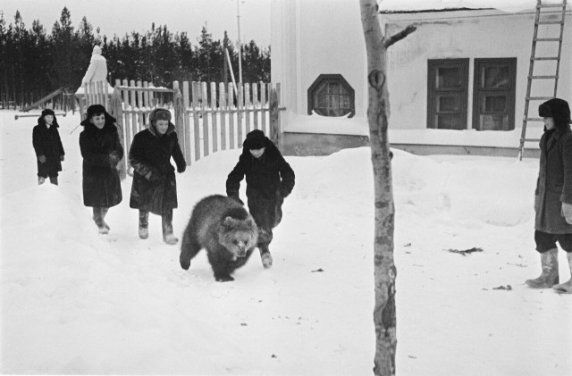 Фотографии из прошлого нашей страны – 135