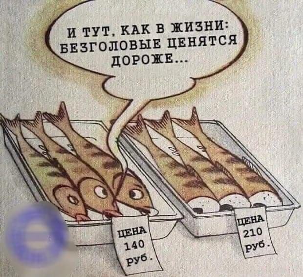 Картинки для деградации 166 (разной степени свежести)