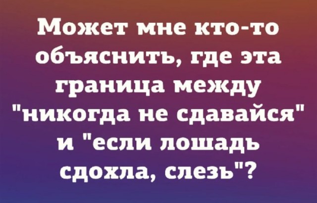Картинки для деградации 168 (разной степени свежести)