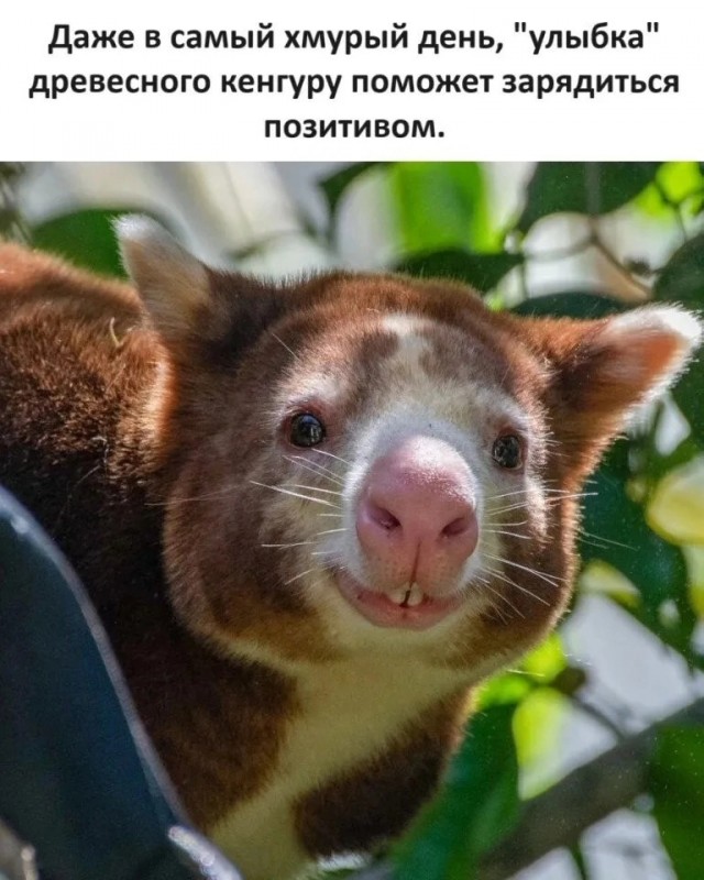 Субботние картинки