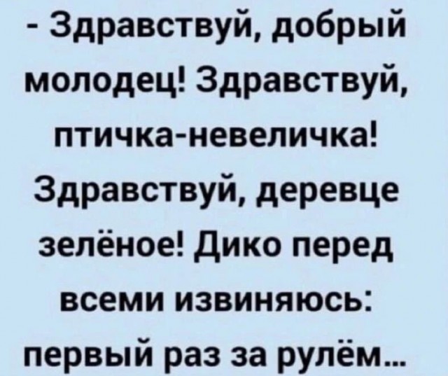 Контент для невзыскательной аудитории