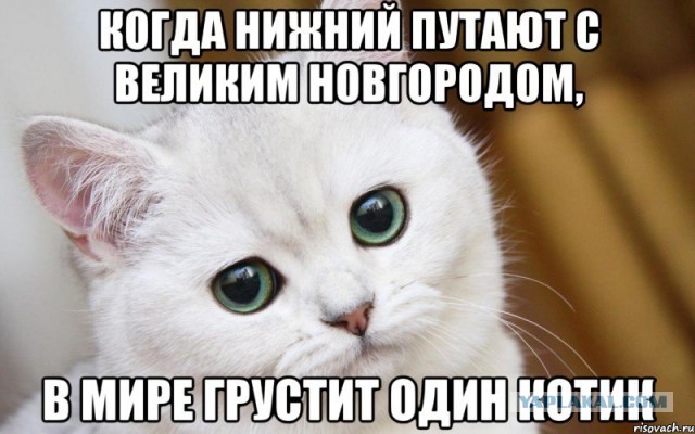Золотой крендель единой России.