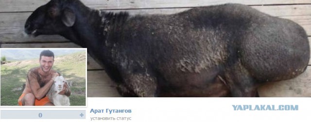 Соц сеть Таджикистана
