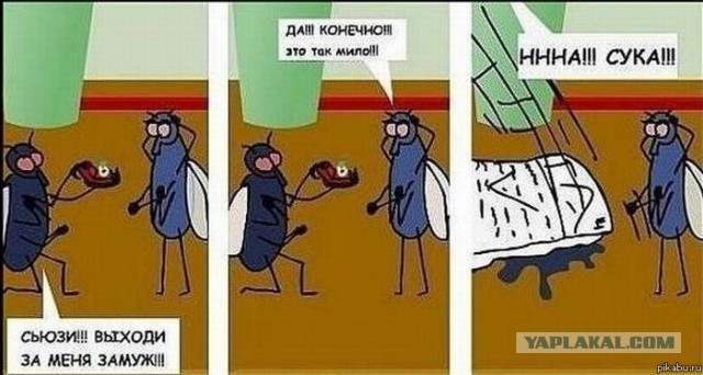 ВыКлючи!
