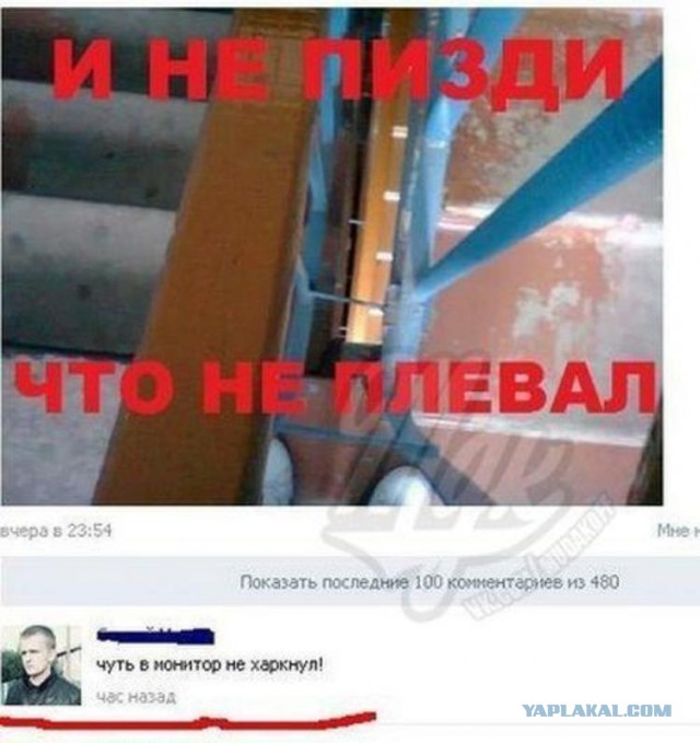 Смешные комментарии из социальных сетей 11.11.2014