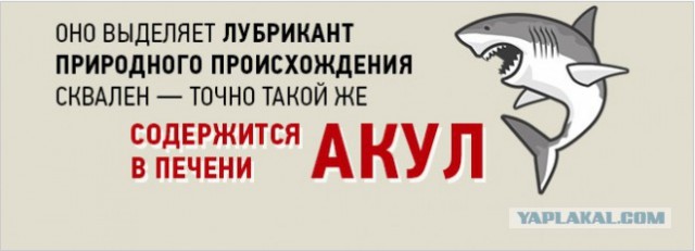 10 удивительных фактов о...
