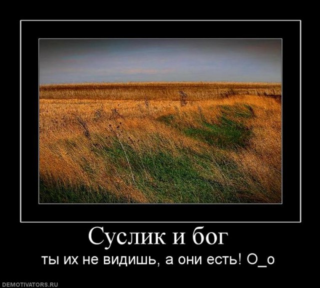 Не смогли