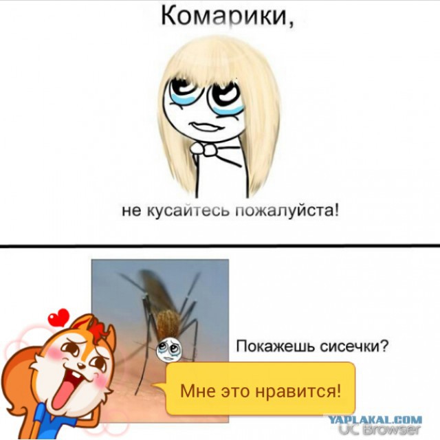 9 необычных способов избавления от комаров