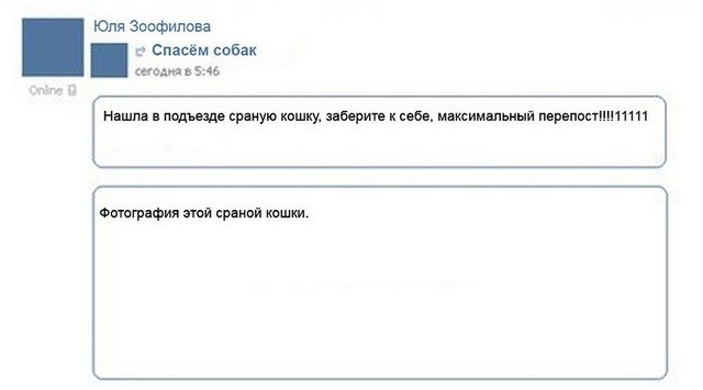 Как выглядит стандартная лента вконтакте
