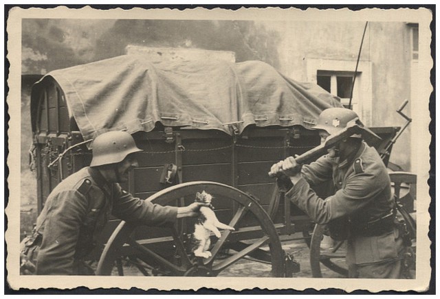 Лапы скручены верёвкой, ржут довольные фашисты