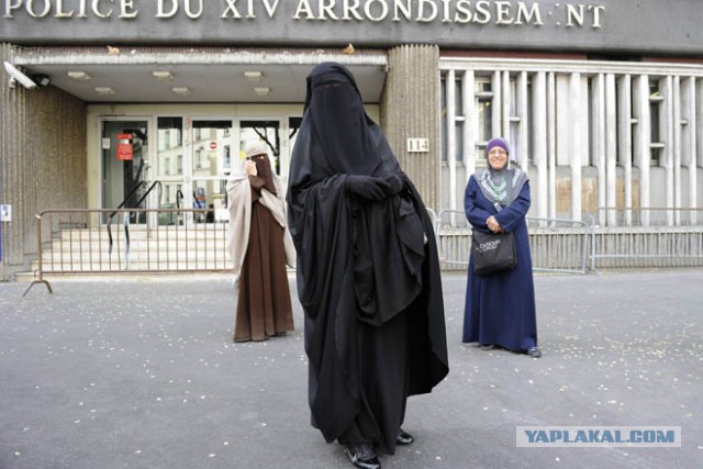 Кто там просил учительниц красивых наших?