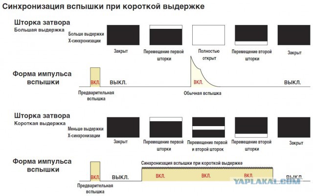 Как снимать капли, падающие в воду фрукты и немного об устройстве фотоаппаратов для новичков