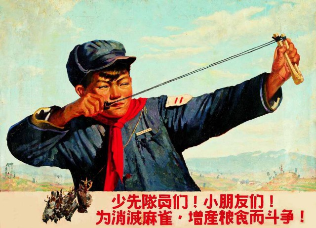 Как китайцы убивали и возрождали воробьев