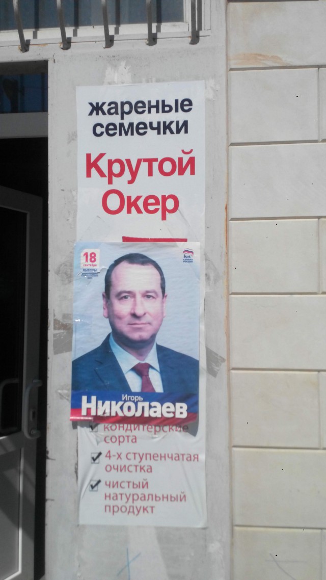 Выборы, выборы...