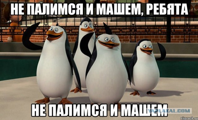 Он у них вот такой!