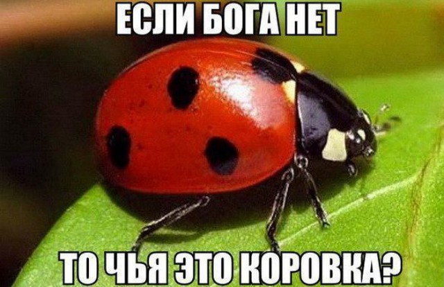 Бога нет. Вот доказательство