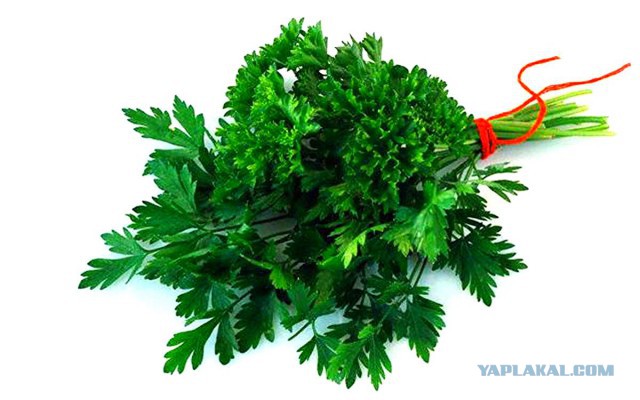 Плов … мягкий подмосковный