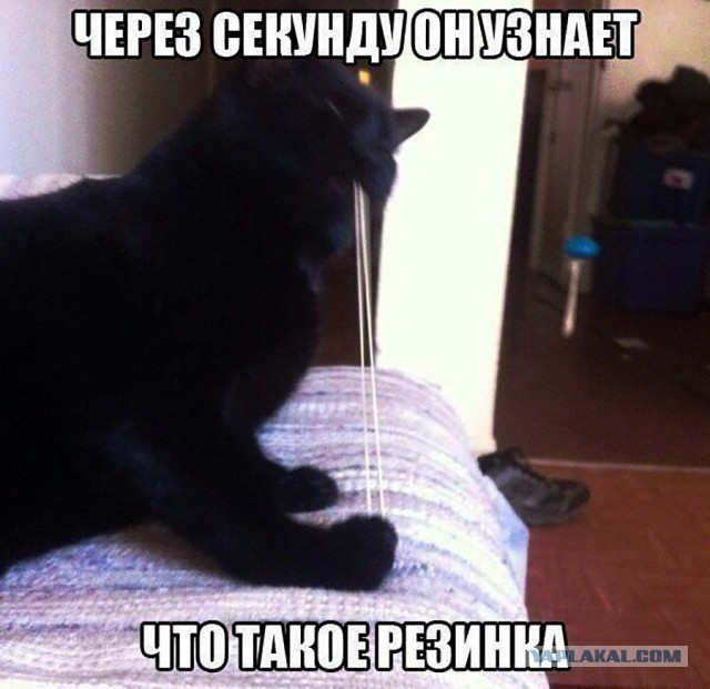 Нестандартный юмор