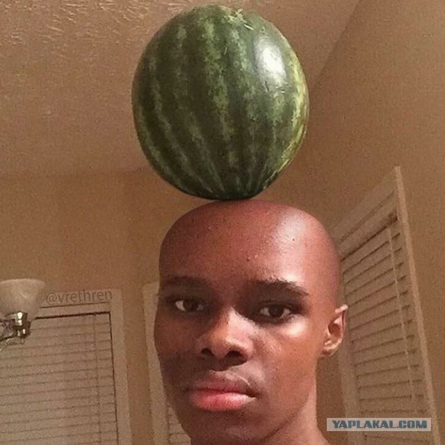 Запилю-ка я картинок