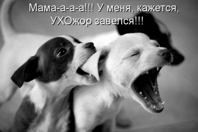 Ухожор. А у вас есть нелюбимые слова?