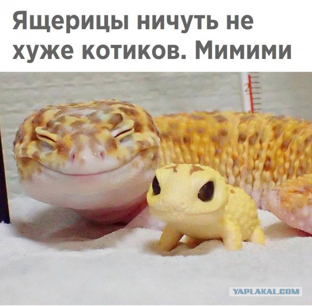 Почему уходят мужья.