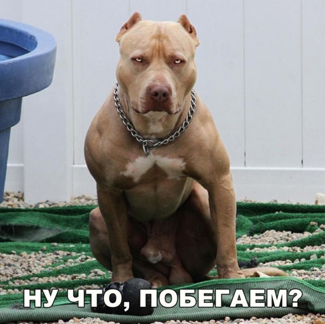 Немного "юморных" картинок с Ваших интернетов.
