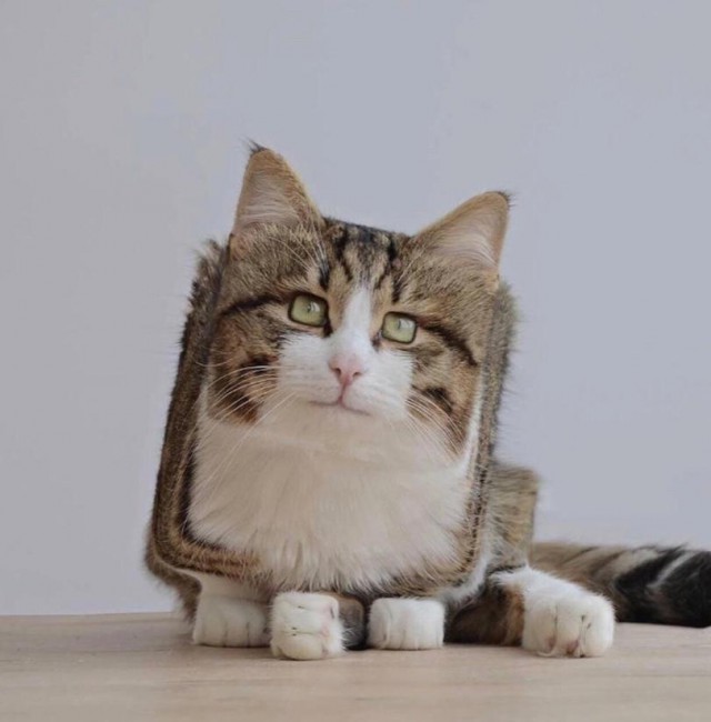 Специфический юмор
