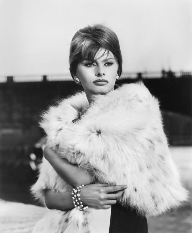 The special edition: Sophia Loren