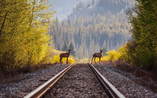 Осенние поезда и железная дорога