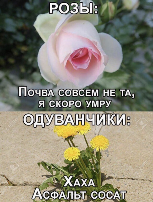 Немного картинок для настроения
