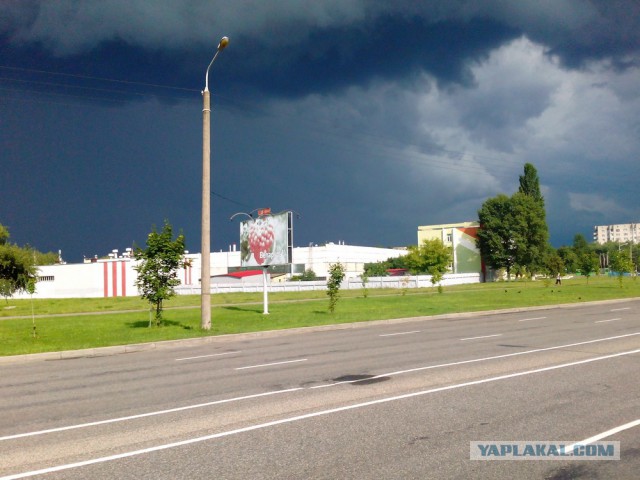 Перед бурей