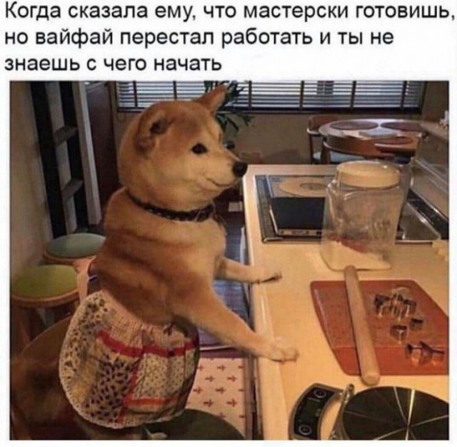 Немного картинок для настроения