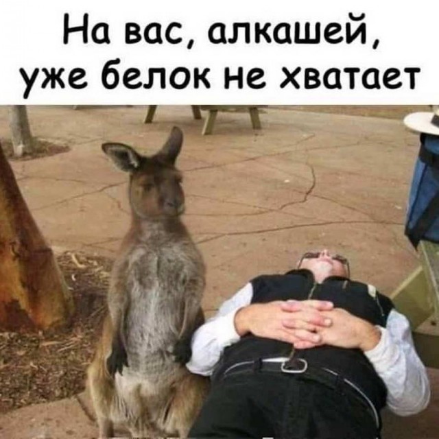 Аморалка
