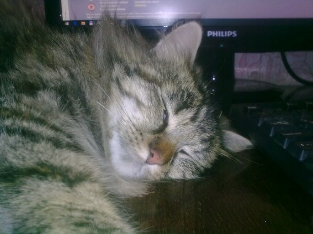 Почему хороших девочек не зовут замуж?