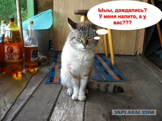 Поздравляю с Пятницей! 18.07.2008