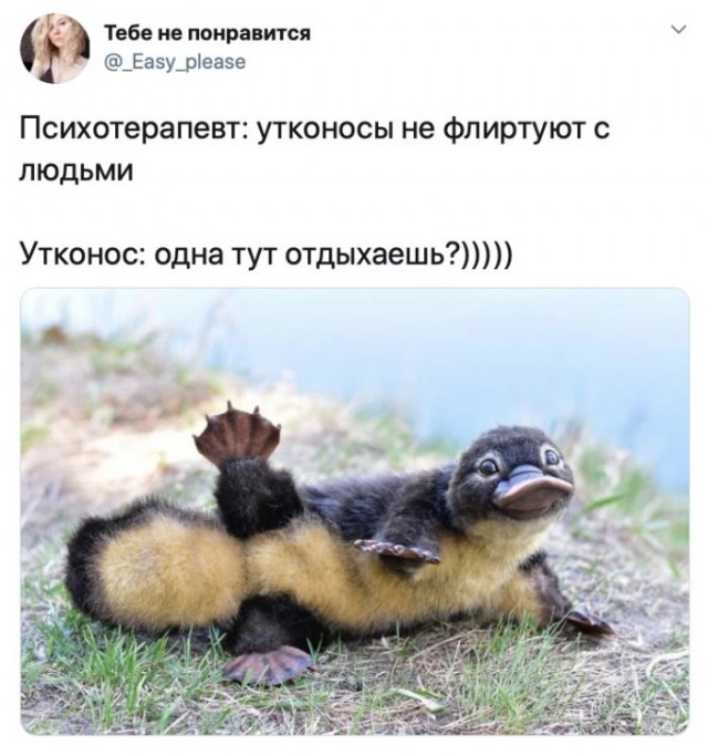 Немного картинок для настроения 17.05.20