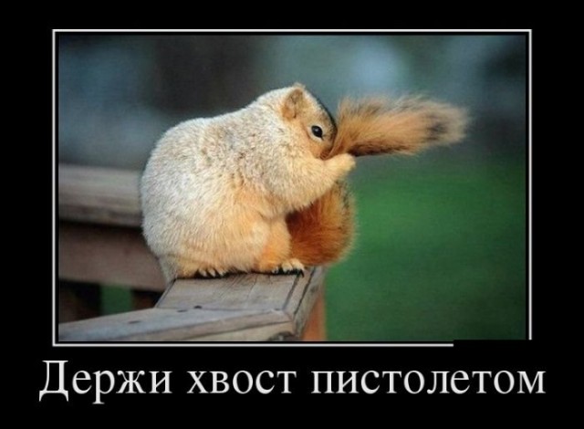 Прикольные и просто красивые картинки 16.08.2020