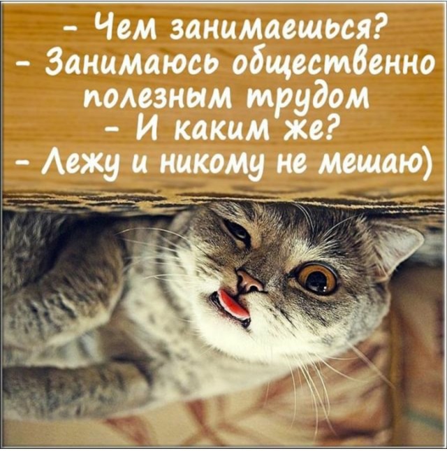 Немного картинок для настроения 118