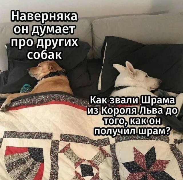 Юмор в картинках 21.09.20