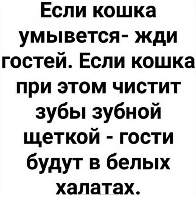 Немного картинок для настроения 09.10.20