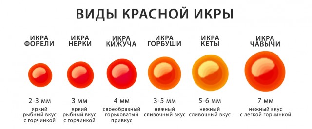 Цена на икру на Камчатке 2020. Перед Новым годом