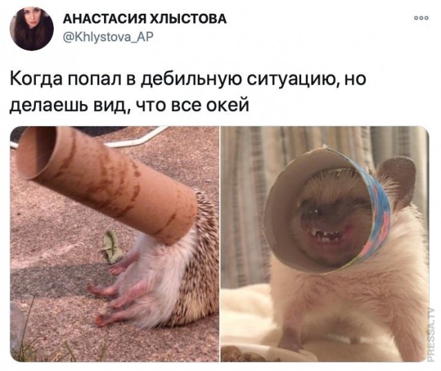 Картинки и мемы для настроения 017