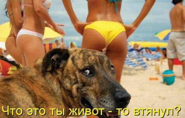 Картинки и мемы для настроения 016